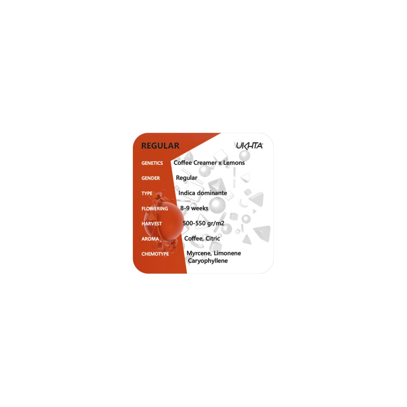 Coffee Cream x Lemon Tree, Фасовка: 11